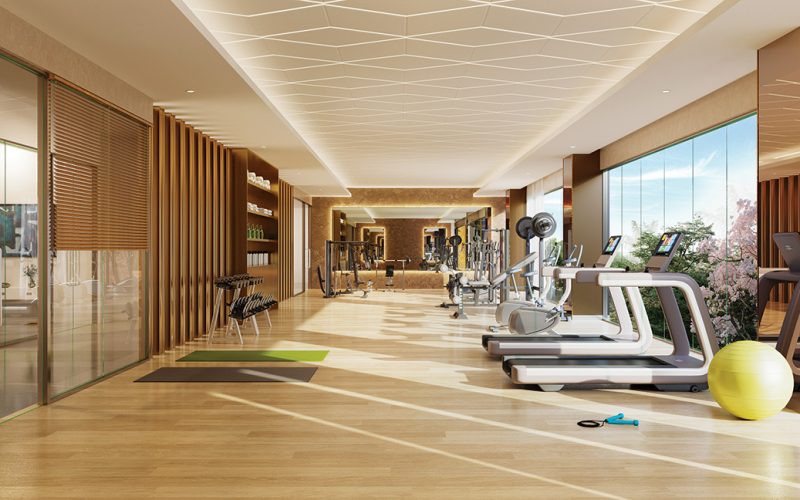 Ultra Luxury Gymnasium